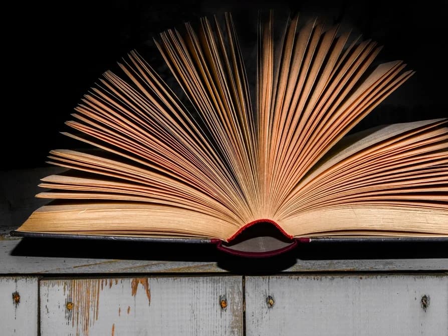 Open book with its pages fanned out